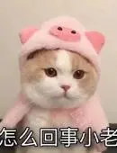 mg娱乐娱 」）さらに弟が「自分が近くにいたことを詩織は知っていたはずだ」と兄から告げられたと警察に供述していることについても、07年6月の高裁に対する「控訴趣意書」で弁護側はこう反論している