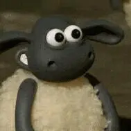 天天捕鱼2app下载 でも成熟した国ほどいろいろな価値観を認めるべきなんで、そこは難しいんでしょうけど