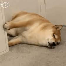 三分PK拾官网 删除特定的 Google 服务或您的 Google 帐号