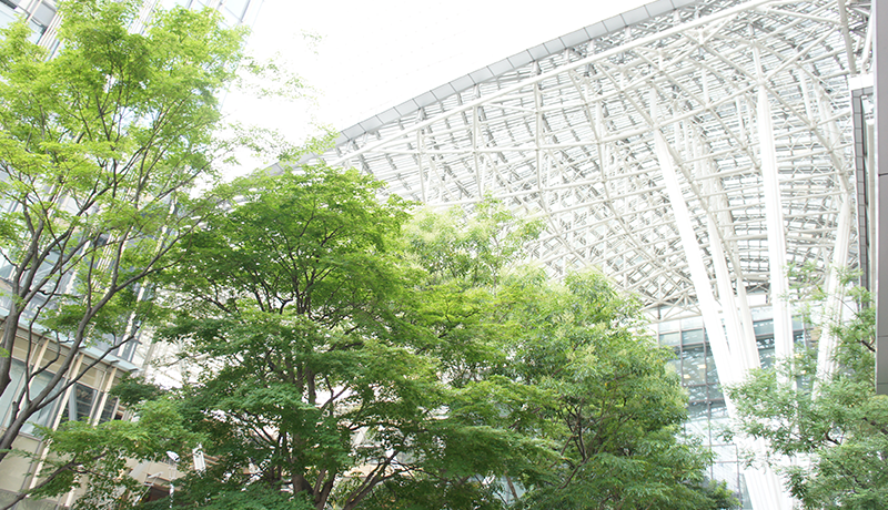 雷火竞技app下载 事実チェ・ギョンジュは今回の優勝直前までだけでもPGAツアー進出以来最悪のシーズンを過ごすのではないかという懸念を買った